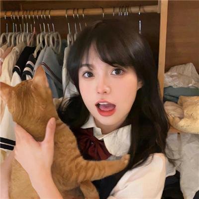 秩序的守护者